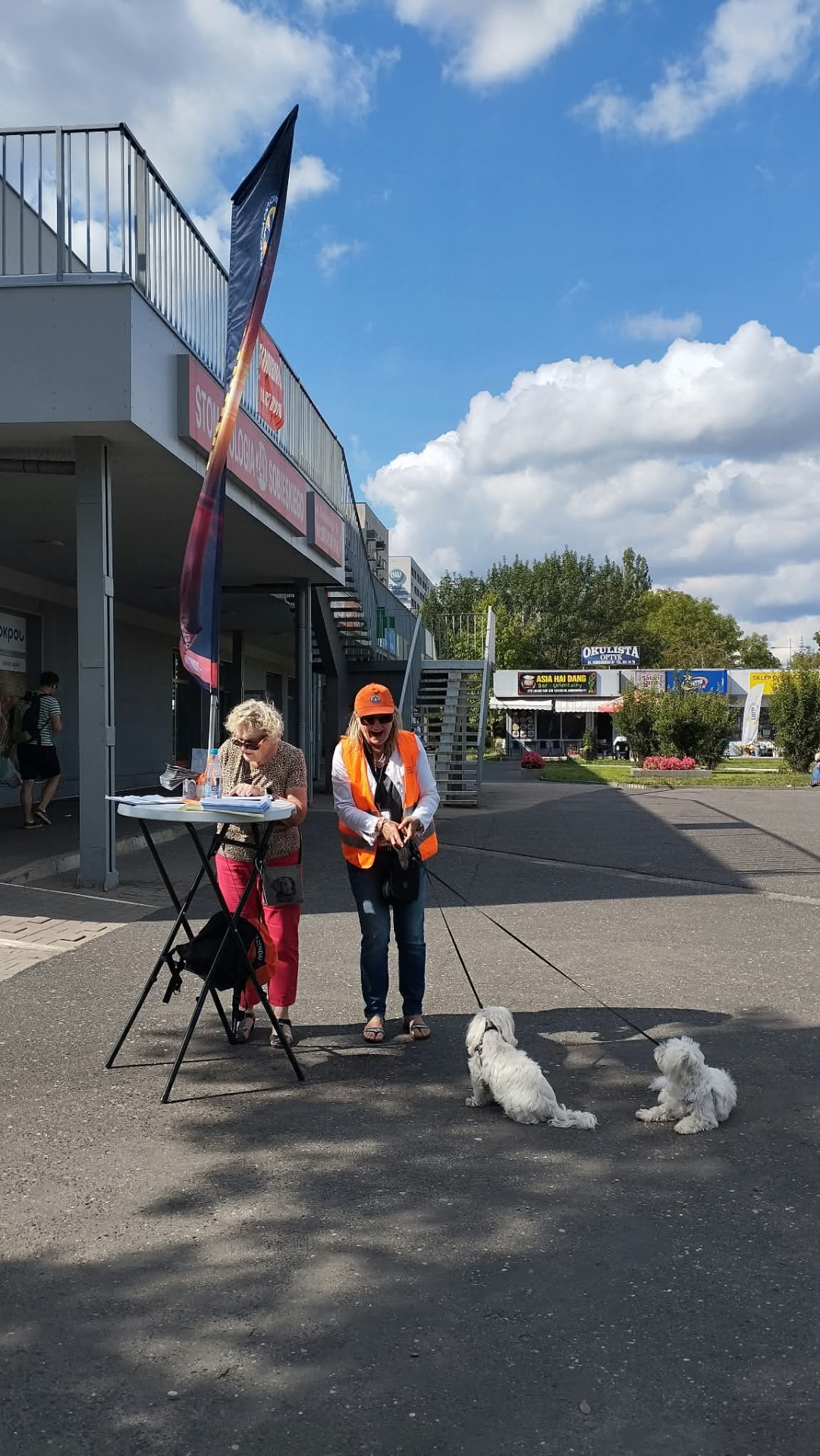 Zbiórka podpisów — Stołeczna Operacja Referendalna